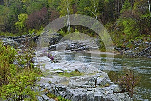 Primorski Territory, Ternejsky area, river Kema.