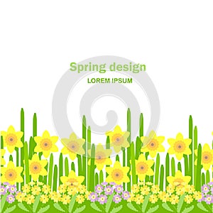 Primrose, daffodil seamless background