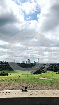 Primrose hill from the top photo