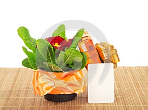 Primula on bamboo cloth, gift box and card