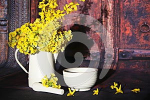 Primula veris flowers