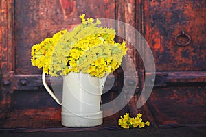 Primula veris flowers