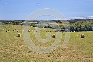 Prince Edward Island Countryside