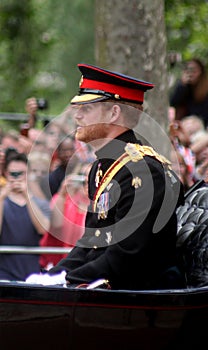 Prince Harry