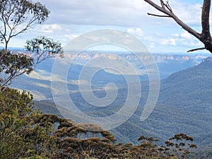 The Prince Henry Cliff Track in the Blue Mountains of New south Wales. Surrounded by Australian Bush and Eucalypt Forest