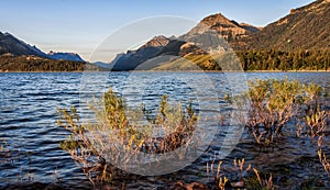 Prince of Wales Hotel in Waterton Lakes