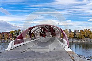 Princes Island Park Peace bridge. Autumn foliage scenery in downtown Calgary Bow river bank