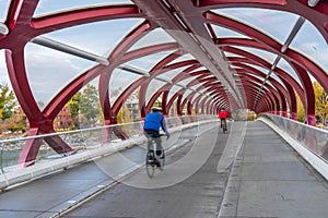 Princes Island Park Peace bridge. Autumn foliage scenery in downtown Calgary Bow river bank