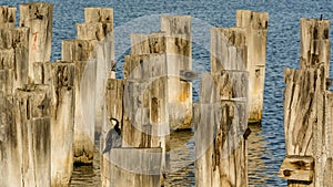 Princes Pier, Melbourne, Australia