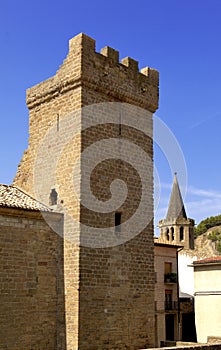 Princes of Viana Castle and Santa Maria la Real Church in SangÃÂ¼esa, photo