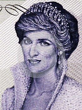 Princess Diana a portait