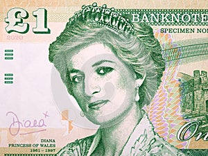 Princess Diana a portrait from money photo