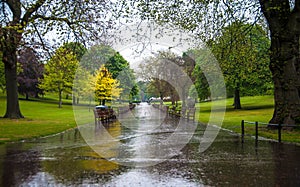 Princess Gardens on a rainy day, Edinburgh Scotland