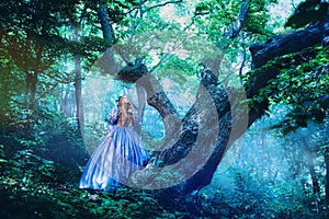 Princess in magic forest