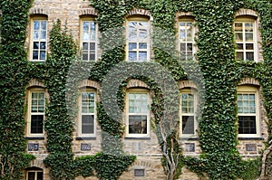 Princeton University