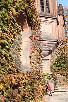 Princeton University in autumn