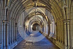 Princeton University hallway at twilight