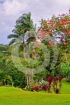 Princeville Botanical Gardens, Kauai, Hawaii, USA