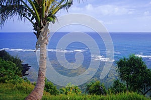 Princeville cliff view photo