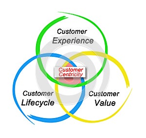 Principles of Customer Centricity