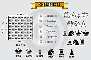 Set of chess piece element, winner and looser concept, in a fair game. photo