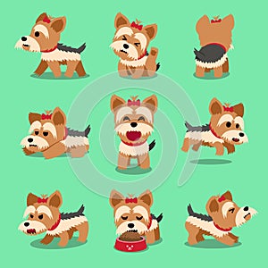 Vector cartoon character yorkshire terrier dog poses set