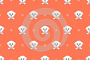 Vector cartoon character bichon frise dog seamless pattern photo