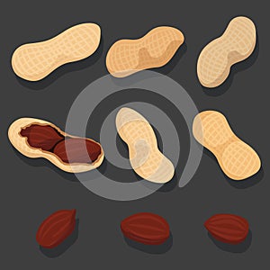 Vector set of peanuts