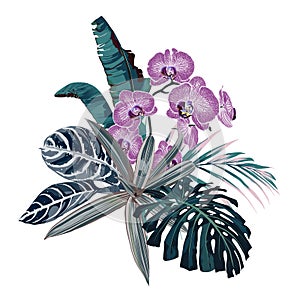 Botanical illustration, beautiful tropical flowers bouquet, pink orchid flowers, palm leaves, exotic plants