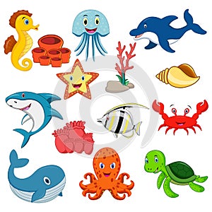 Sea animals vector set