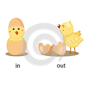 Illustrator of opposite in and out