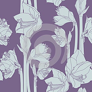 Hippeastrum lilly blooming flowers seamless pattern.