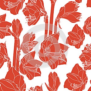 Hippeastrum lilly blooming flowers seamless pattern.