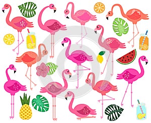 Vector Collection of Flamingos, Tropical Leaves, Fruit and Summery Drinks