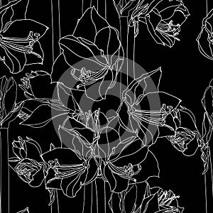 Hippeastrum lilly blooming flowers seamless pattern.