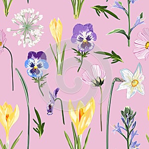 Seamless floral yellow crocus and many kind of spring flowers seamless pattern on pink background.