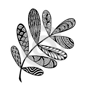Vector illustration leaves and in doodle style. Floral, ornate, decorative, tribal vector design elements