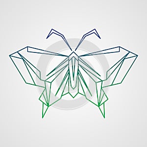 Butterfly icon isolated
