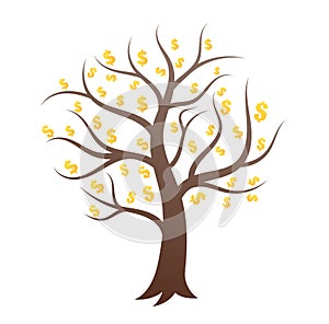 Money tree with branches.