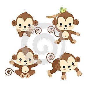 Little monkey cartoon.