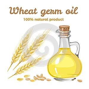 Wheat germ oil in glass bottle. Vector illustration
