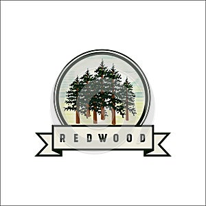 Redwood vector logo.  Redwood icon photo