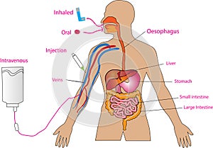 Creative human body design with touch points words