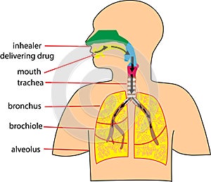 Creative human body design with touch points words