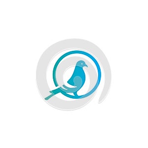 Pigeon dove on the ring flat logo icon design vector illustration template