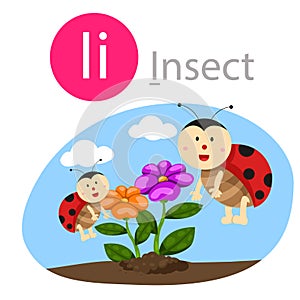 Illustrator of I for inscet animal photo