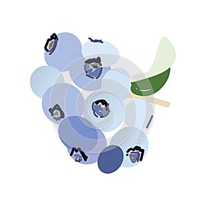 Illustration with the image of a blueberry. Bright fruit logo or icon for your design. photo