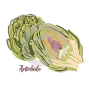 Artichoke vector bright icon isolated on background with text. Hand drawn artichokes. For infographic,