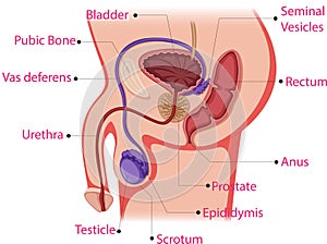 Creative human body design with touch points words
