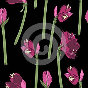 Beautiful blooming seamless pattern with violet pink Lilies flowers.